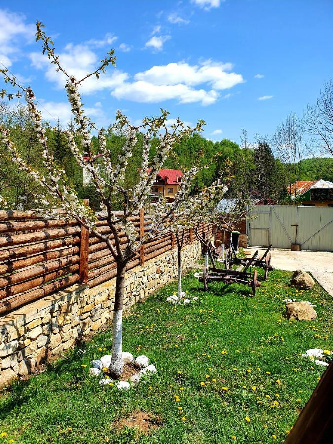 Rooms Poienita Slănic-Moldova Exteriér fotografie